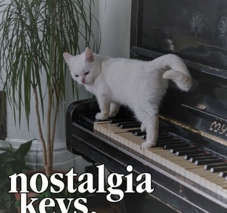 Clark Samples Nostalgia Keys WAV